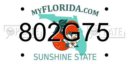 802G75 Florida License Plate