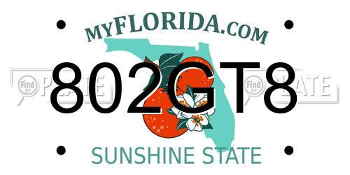 802GT8 Florida License Plate