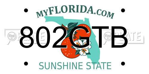 802GTB Florida License Plate