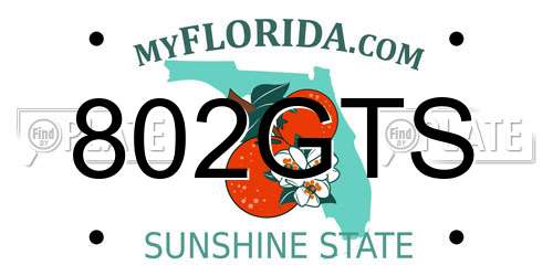 802GTS Florida License Plate