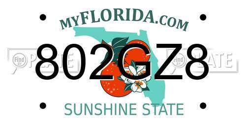 802GZ8 Florida License Plate