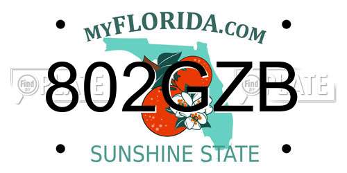 802GZB Florida License Plate