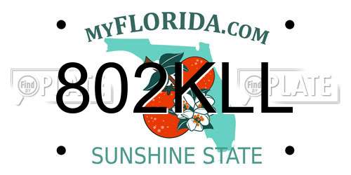 802KLL Florida License Plate
