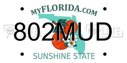 802MUD Florida License Plate