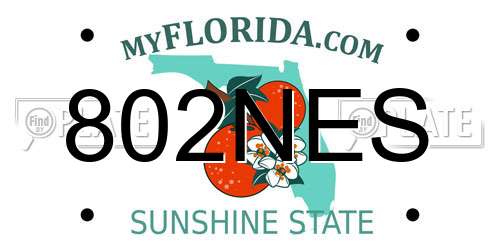 802NES Florida License Plate