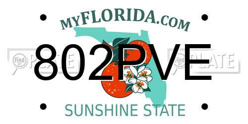 802PVE Florida License Plate