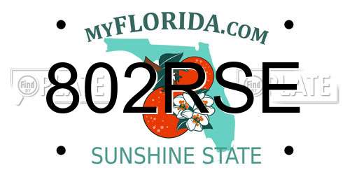 802RSE Florida License Plate