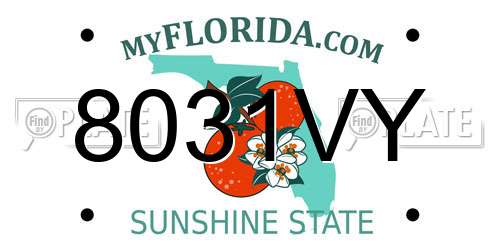 8031VY Florida License Plate