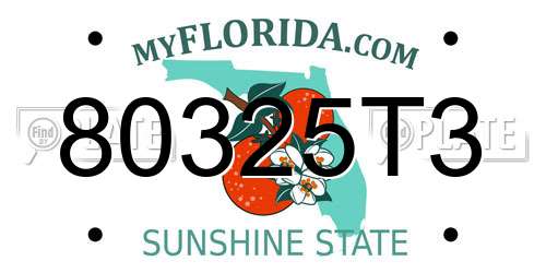 80325T3 Florida License Plate