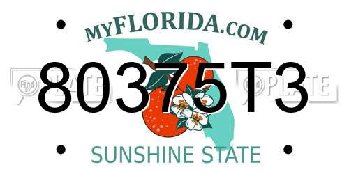 80375T3 Florida License Plate