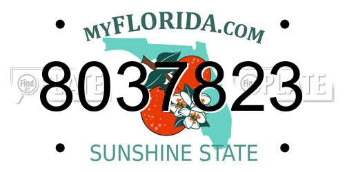 8037823 Florida License Plate