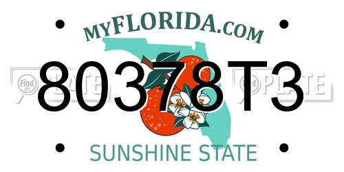 80378T3 Florida License Plate