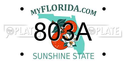 803A Florida License Plate