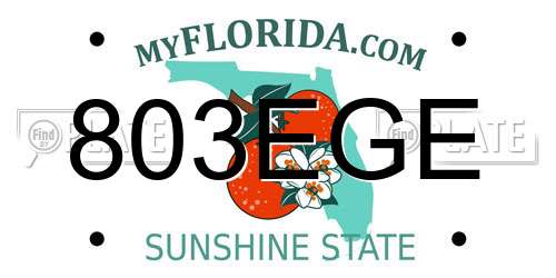 803EGE Florida License Plate