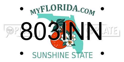 803INN Florida License Plate