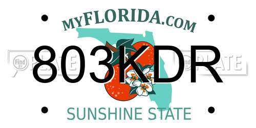 803KDR Florida License Plate