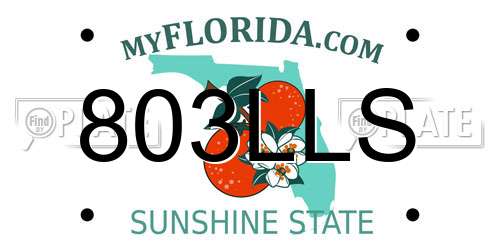803LLS Florida License Plate