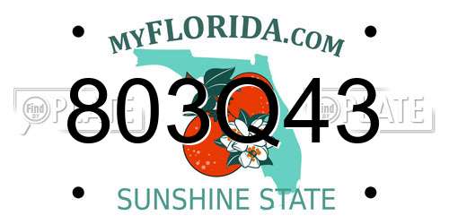 803Q43 Florida License Plate
