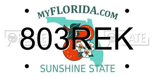 803REK Florida License Plate