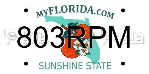 803RPM Florida License Plate