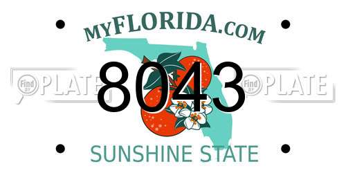 8043 Florida License Plate