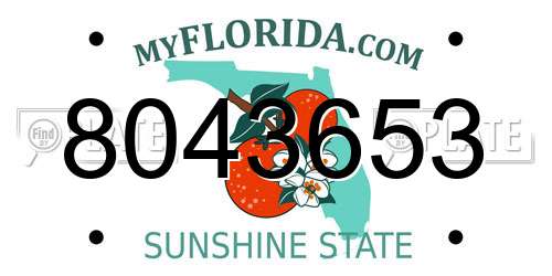 8043653 Florida License Plate