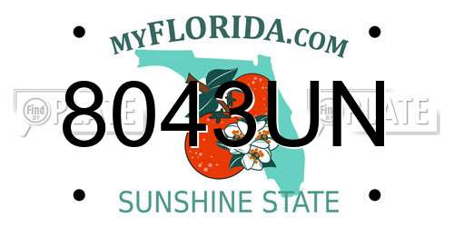 8043UN Florida License Plate
