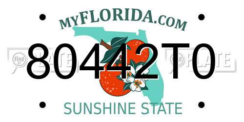 80442T0 Florida License Plate