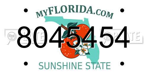 8045454 Florida License Plate