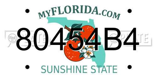 80454B4 Florida License Plate