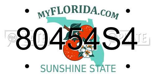 80454S4 Florida License Plate