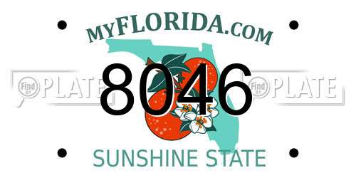 8046 Florida License Plate