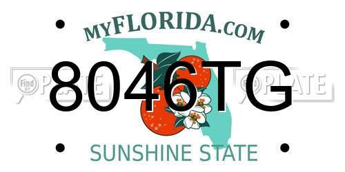 8046TG Florida License Plate