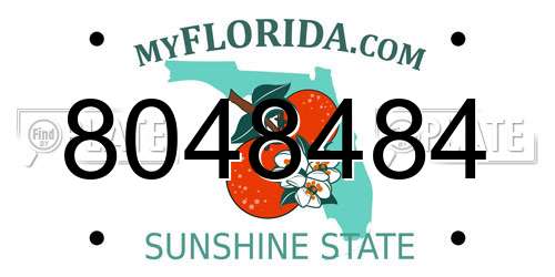 8048484 Florida License Plate