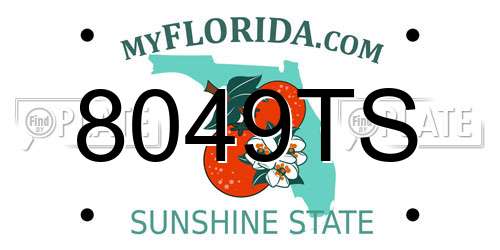 8049TS Florida License Plate