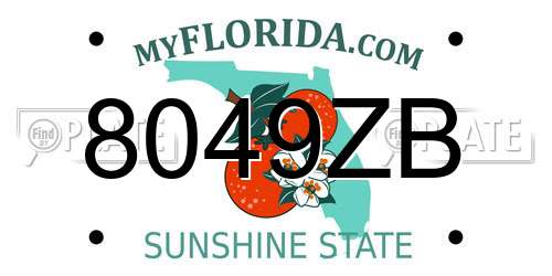 8049ZB Florida License Plate