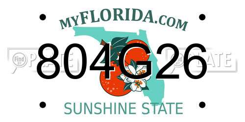 804G26 Florida License Plate