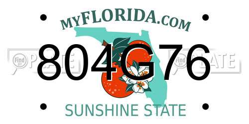 804G76 Florida License Plate