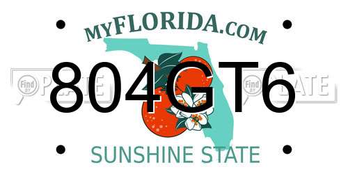 804GT6 Florida License Plate