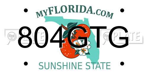 804GTG Florida License Plate