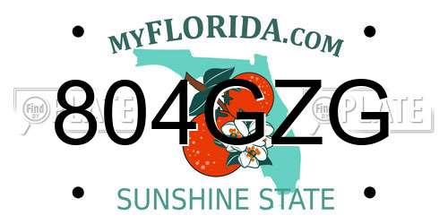 804GZG Florida License Plate
