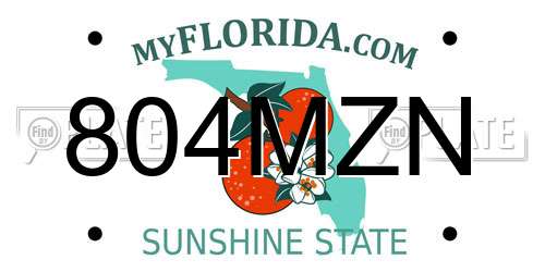 804MZN Florida License Plate