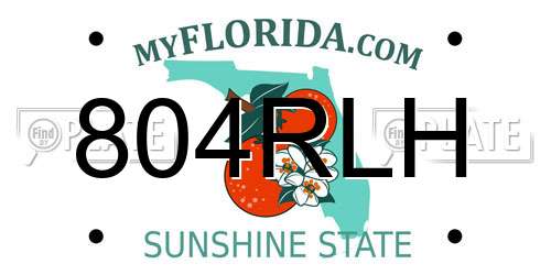 804RLH Florida License Plate