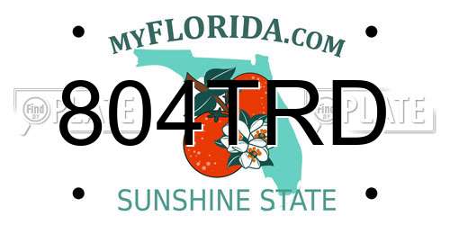 804TRD Florida License Plate