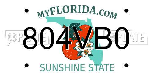804VB0 Florida License Plate