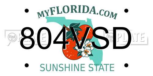 804VSD Florida License Plate