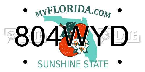 804WYD Florida License Plate