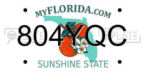 804YQC Florida License Plate