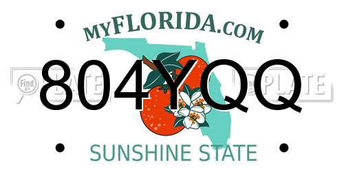 804YQQ Florida License Plate