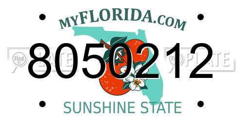 8050212 Florida License Plate